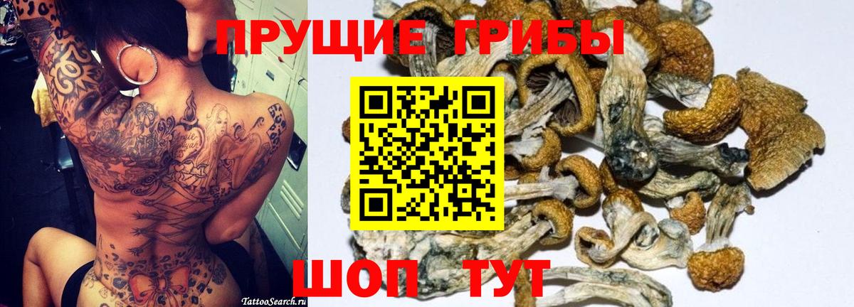 Галлюциногенные грибы мухоморы Балтийск